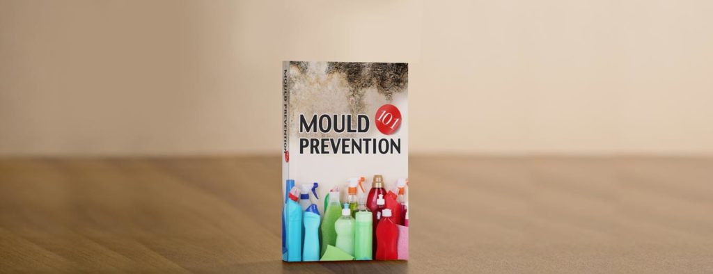 mould-solution-prevention