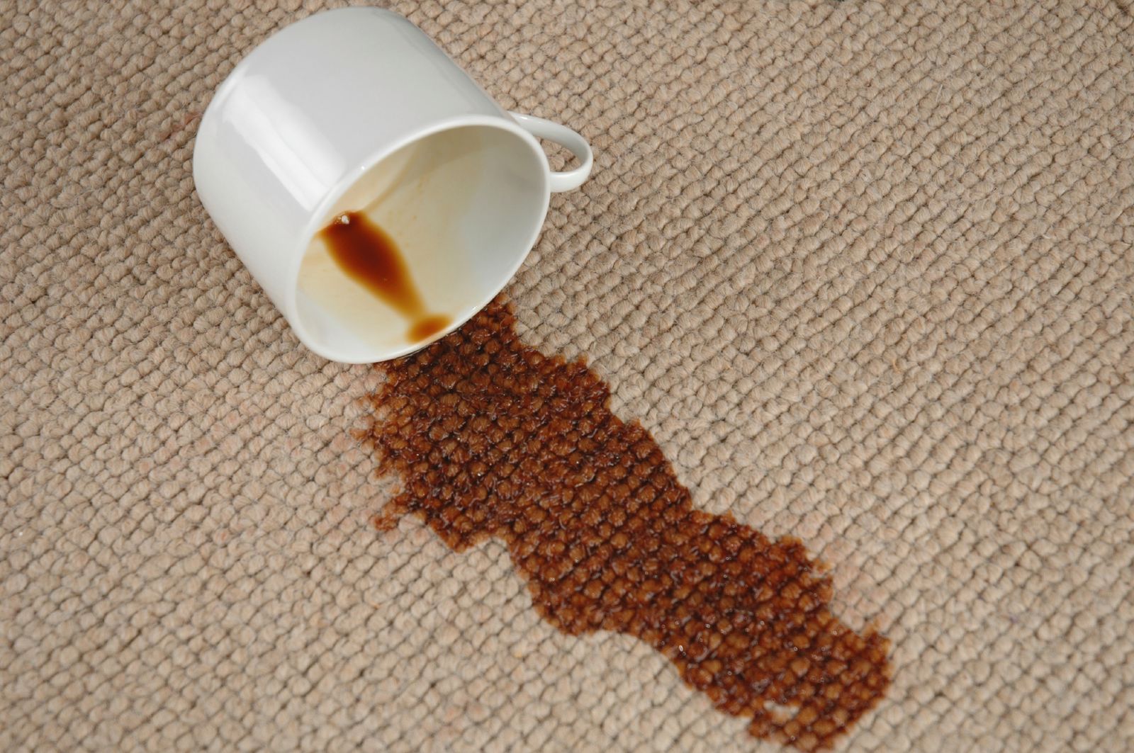 coffee stains remove carpet spilled stained area