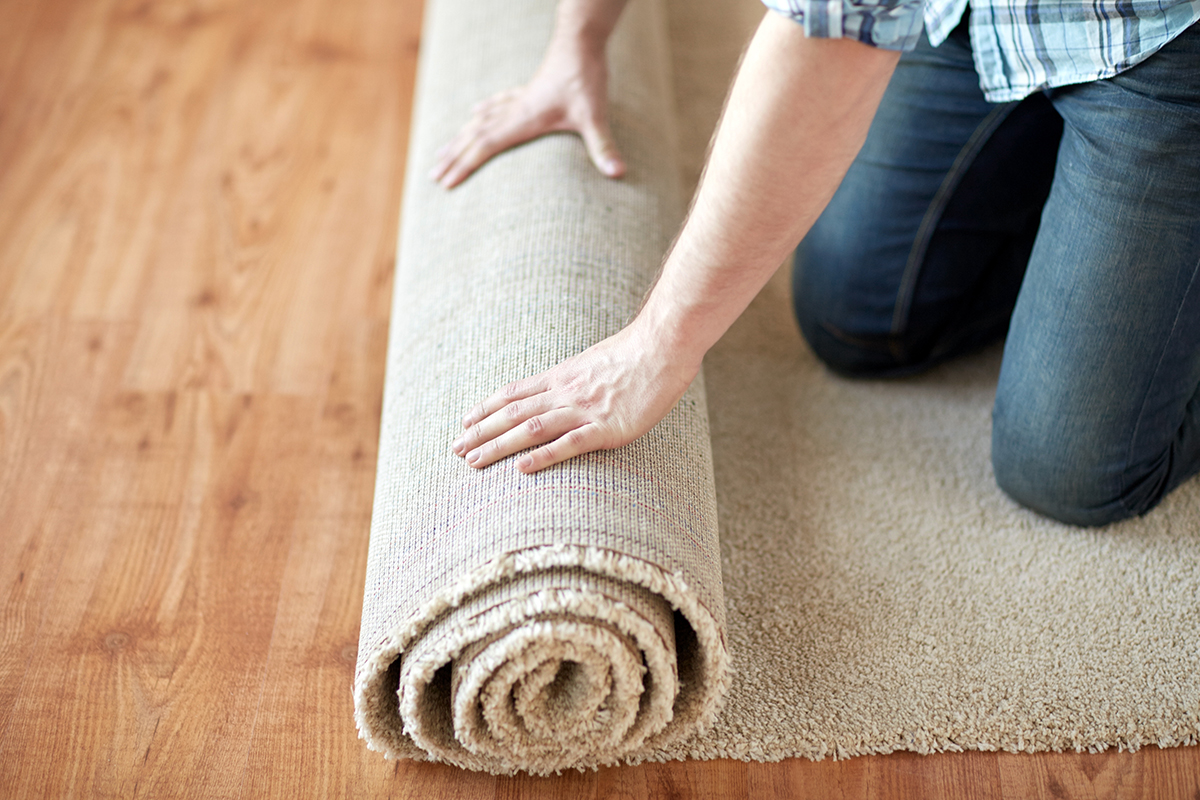 BioHomeCares - 10 step to remove mould from carpets and floors